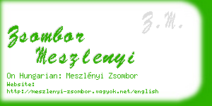 zsombor meszlenyi business card